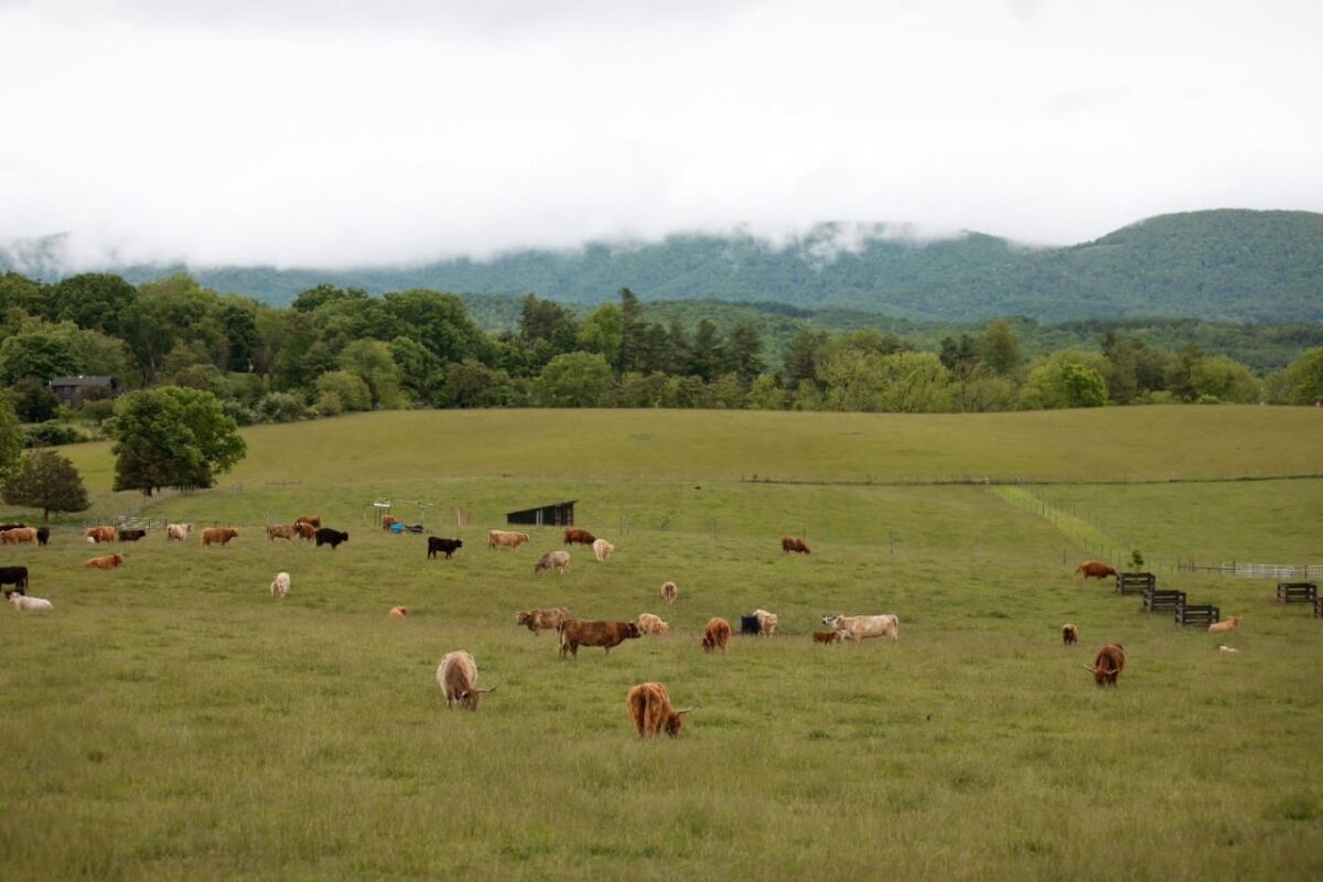 is miltons family farms legit