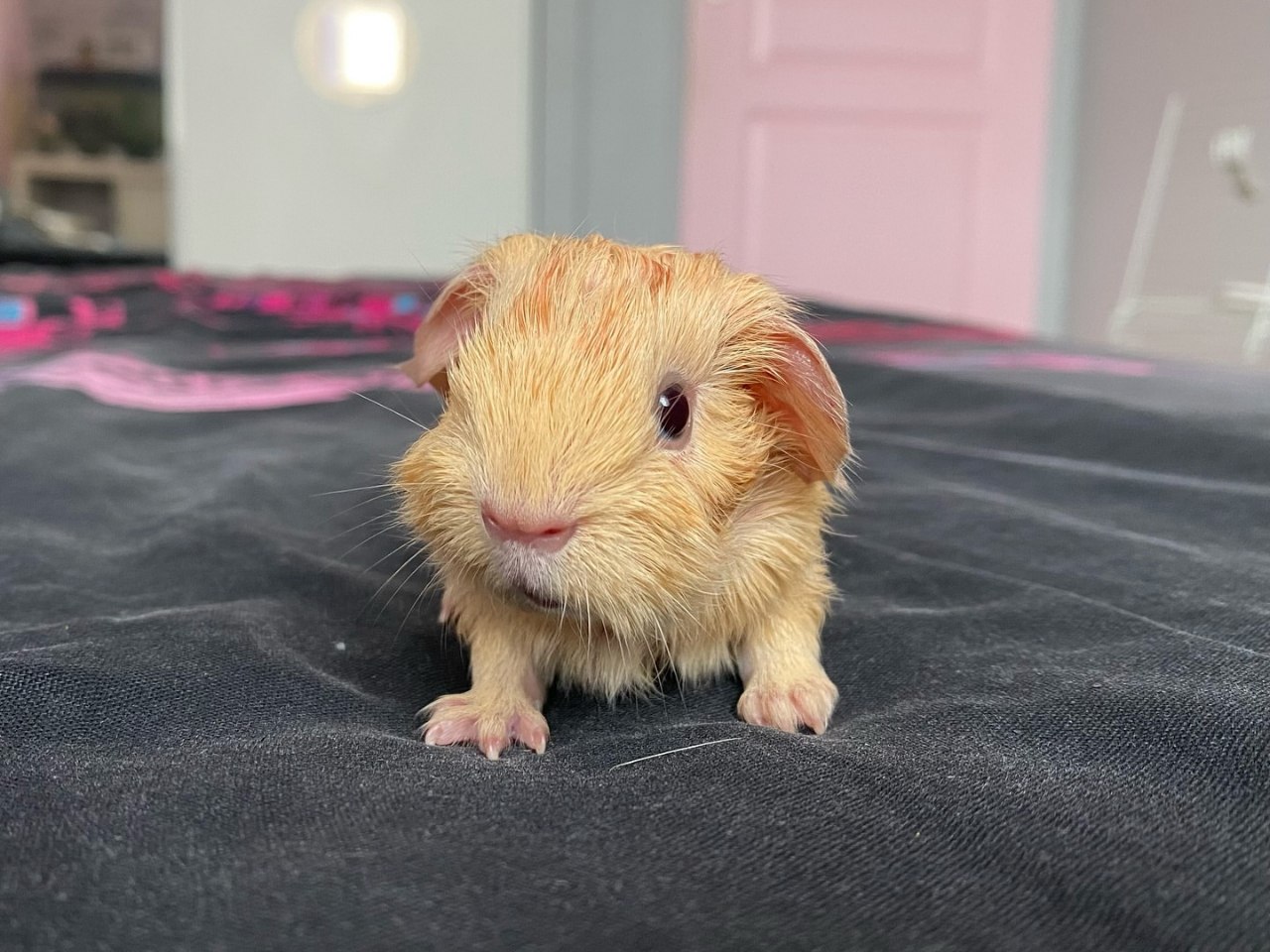 photo_8_2026-01-09_02-34-52